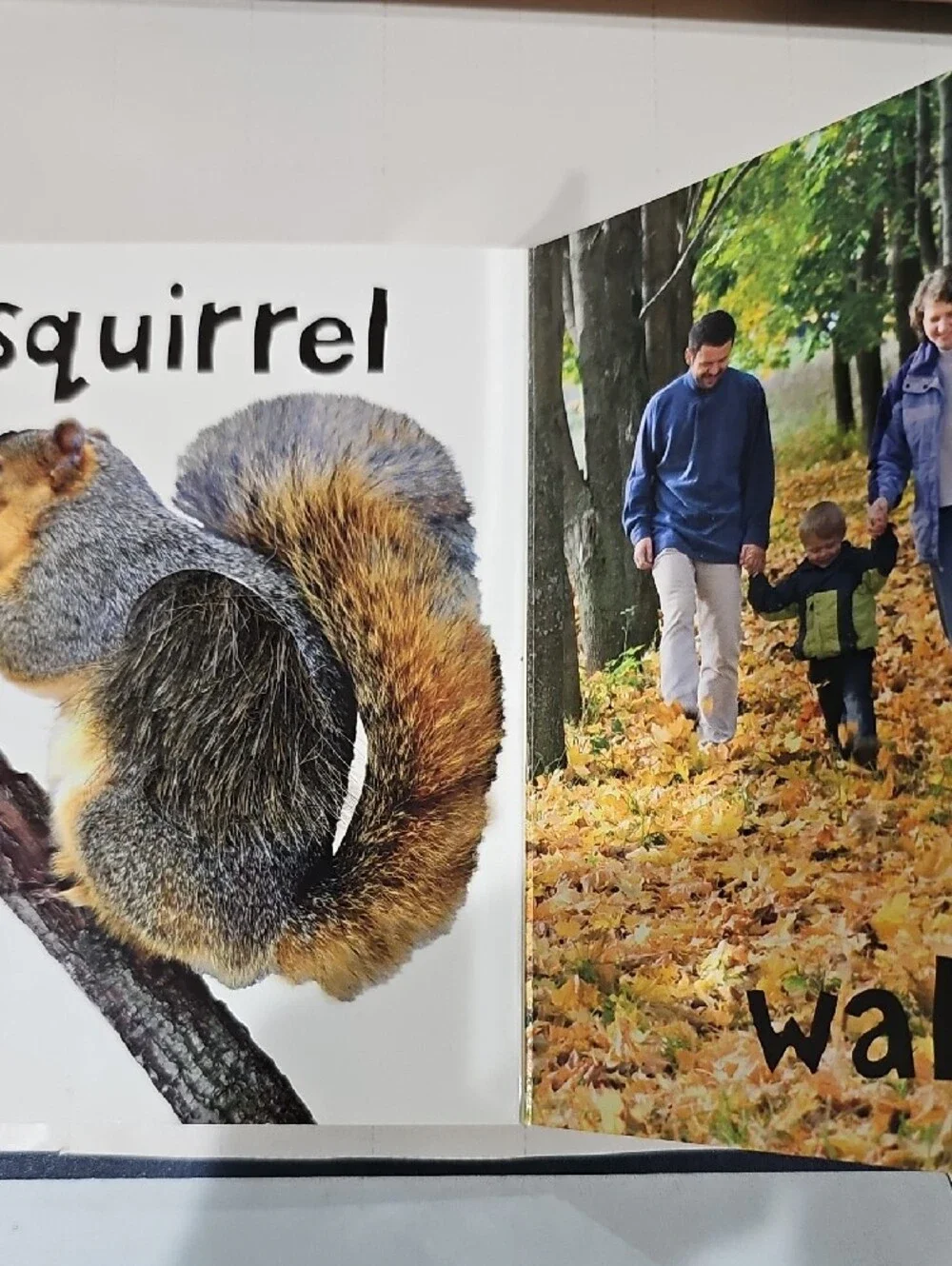 Touch and Feel Baby Fall Book